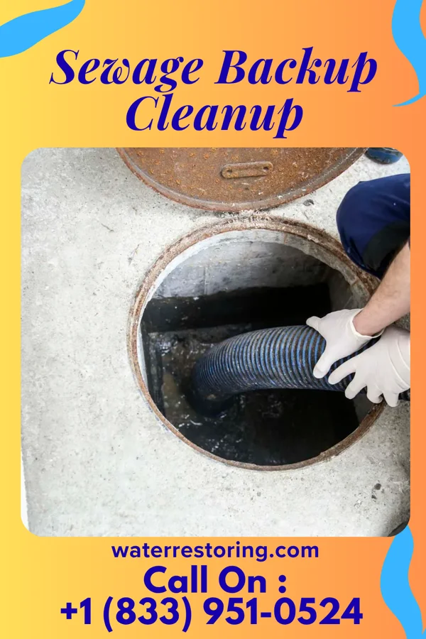 Sewage Backup Cleanup in Hughesville, PA